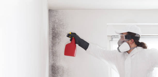 Best Commercial Mold Removal  in Westfield, NJ